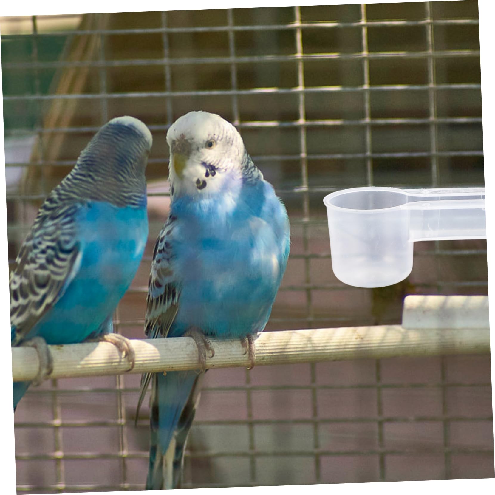 Abbeveratoio per Piccioni e Uccelli Doppia Bocca in Plastica per Uso Domestico e Zoo, Set da 10 Pezzi Facile da Pulire, Bevitore Automatico Sicuro per Pappagalli e Piccioni