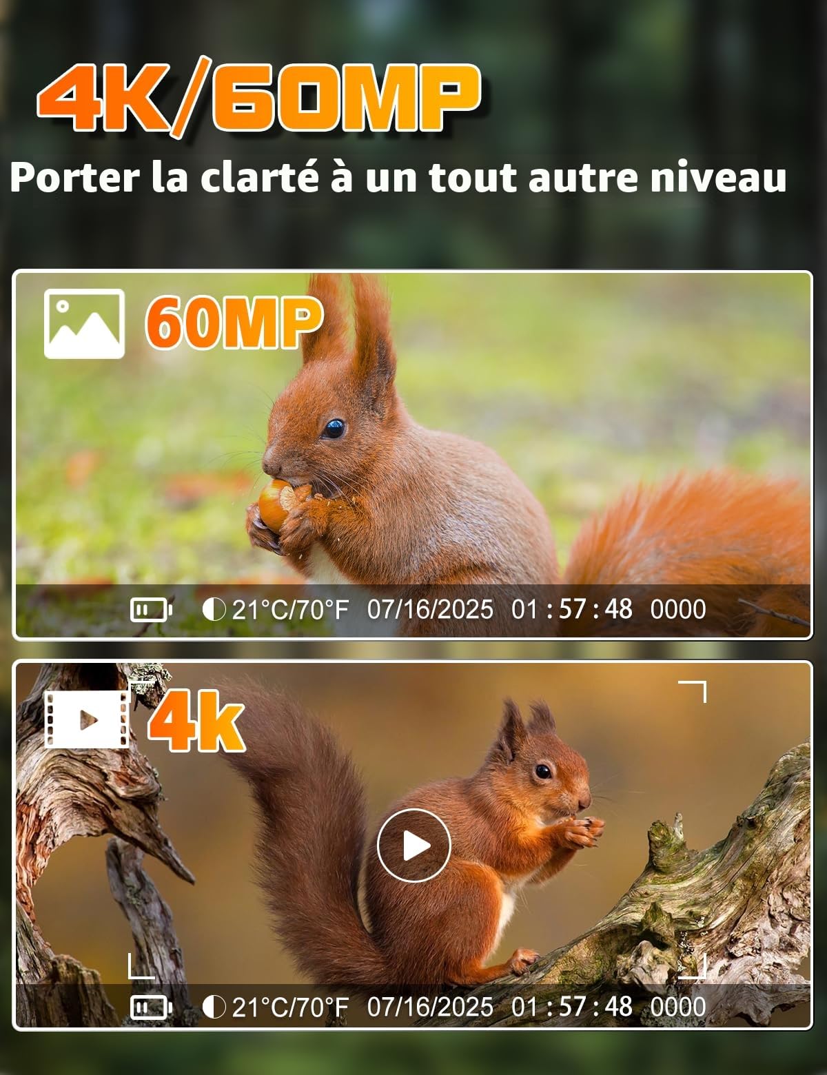 Caméra de Chasse 60MP 4K avec Détecteur de Mouvement Vision Nocturne 940nm IR LED IP66
