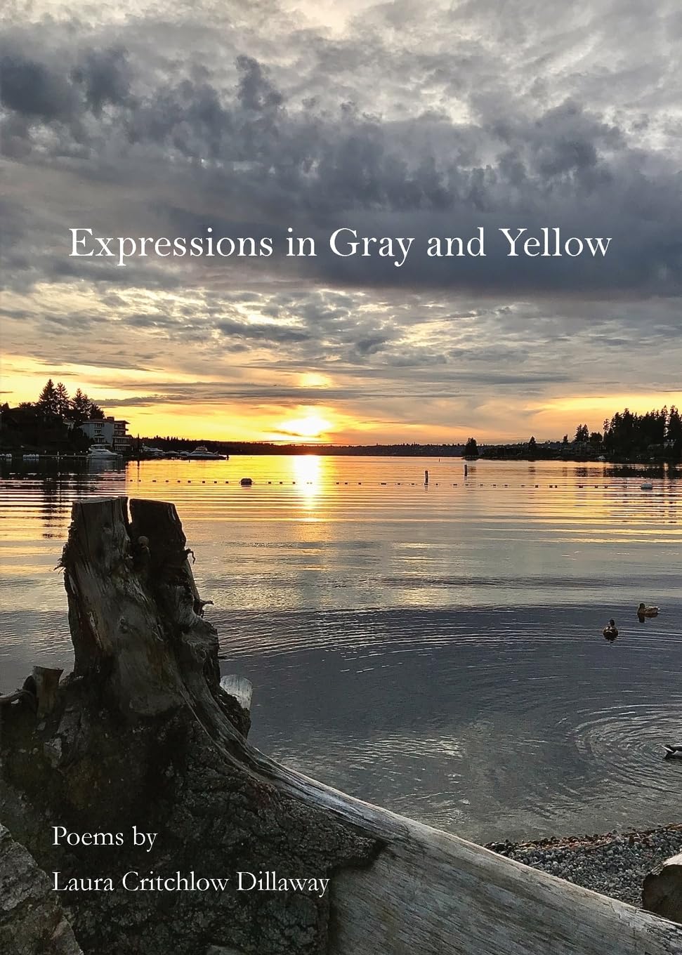 Expressions in Gray and Yellow: Poems by Laura Critchlow Dillaway