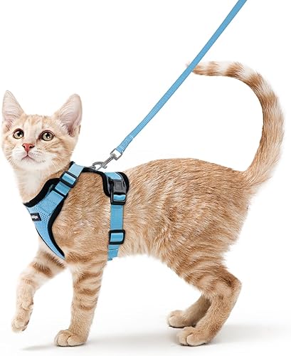 rabbitgoo Arnés para gatos y correa para caminar, a prueba de escapes, chaleco suave y ajustable para gatos, chaqueta de fácil control transpirable