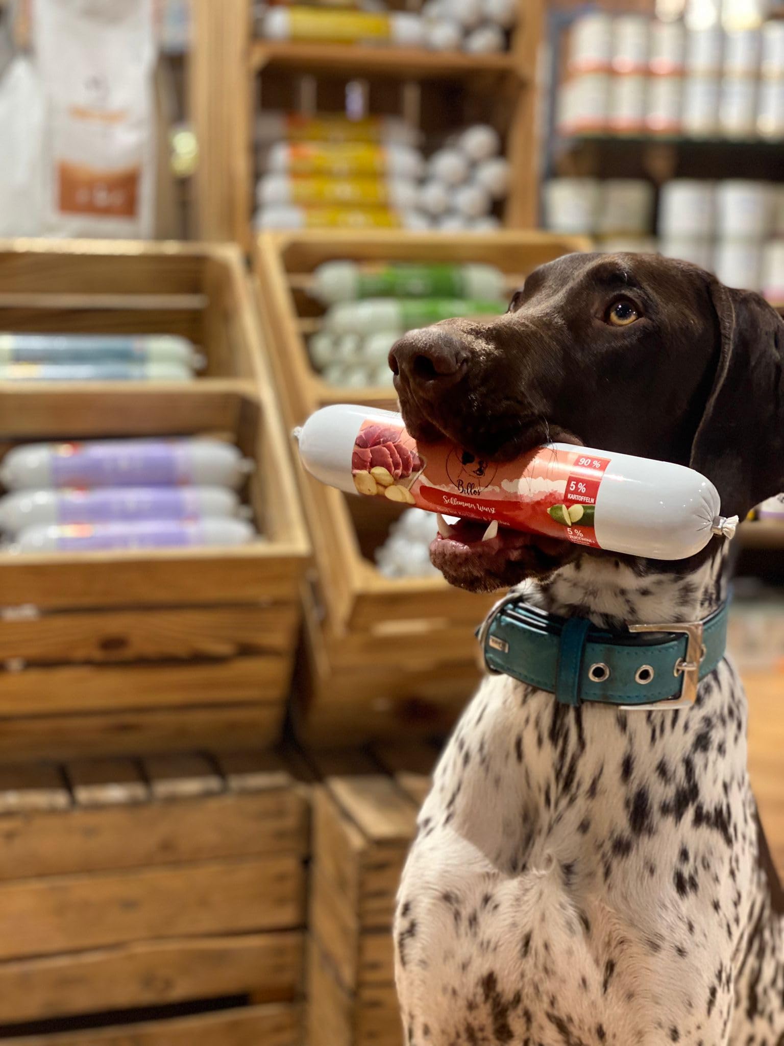 Schlemmerwurst - Salsiccia per cani, resistente ai tagli, senza cereali, pollo con patate dolci e carote, rotolo di salsiccia per cani come cibo completo, snack per allenamento, salsiccia di carne –