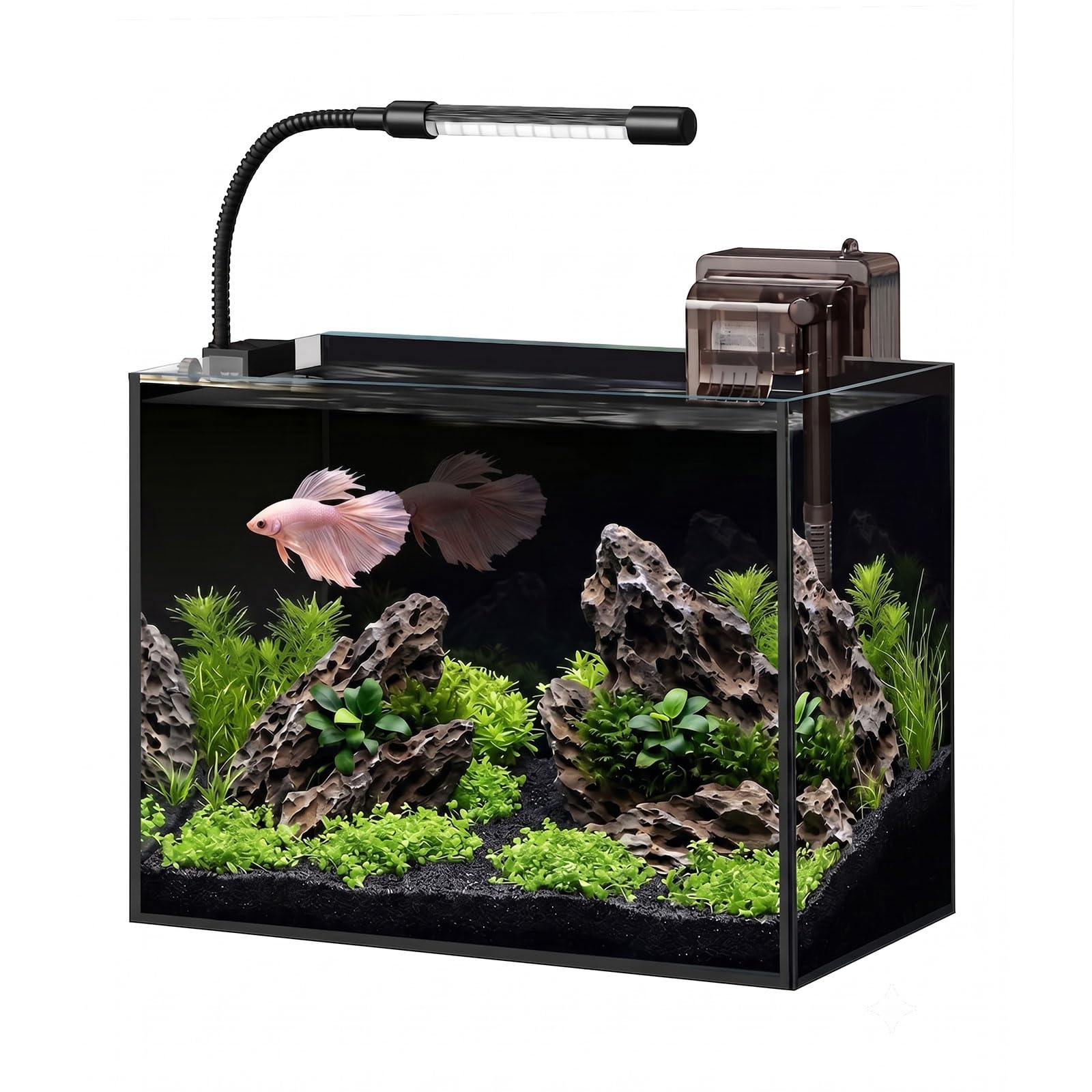 minilake 2.5 Gallon Nano Aquarium Starter Kit