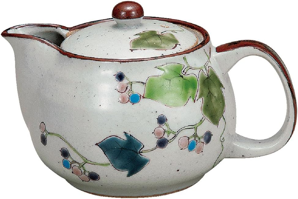 Japanese Teapot Wild Vine (with tea strainer) Kutani Yaki(ware)