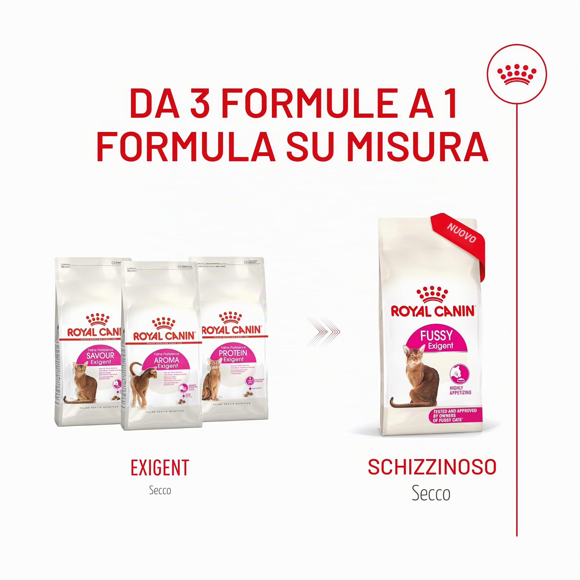 Royal Canin Fussy Exigent | 4 kg | Alimento completo per gatti adulti esigenti | Combinazione di aromi e forma speciale delle crocchette | Ricco di proteine
