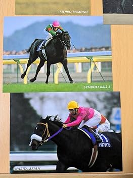 ナリタブライアン　引退記念　フォトセット　ポストカード ナリタブライアン 引退記念 フォトセット ポストカード