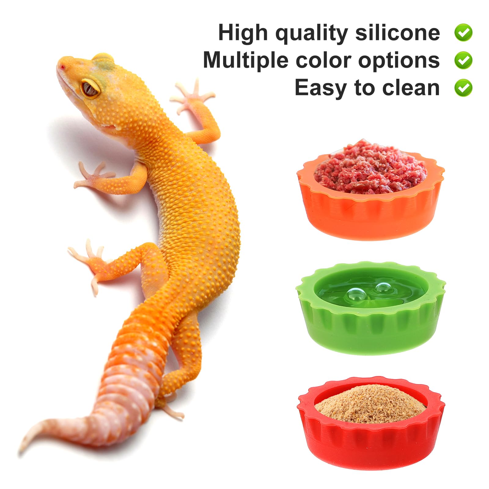 View 4