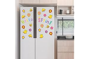 Whaline Spring Magnets for Fridge: A Burst of Floral Cheer