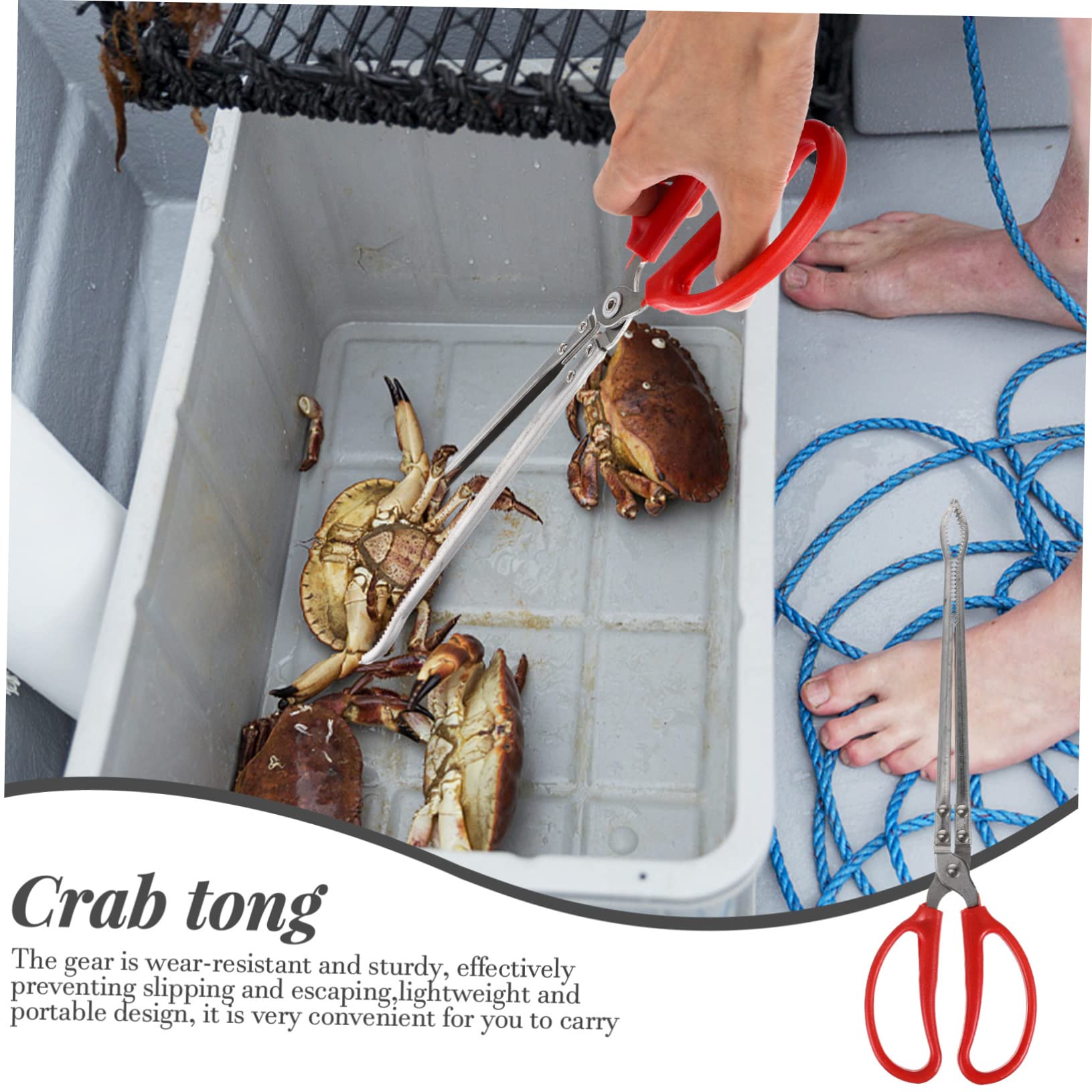 Pinza Multifunción para Pesca de Anguila y Calamar 37.5X10.5 CM Acero Inoxidable y ABS Ligera Antideslizante para Captura en Mar