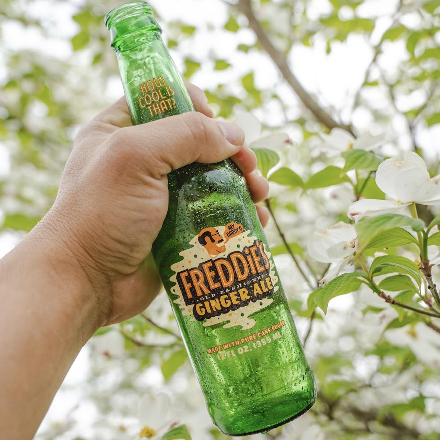 Freddie’s Old Fashioned Soda - Root Beer 12oz Bottles - 12 Pack - Made with Natural Herbs, Oil of Birch and Imported Vanilla