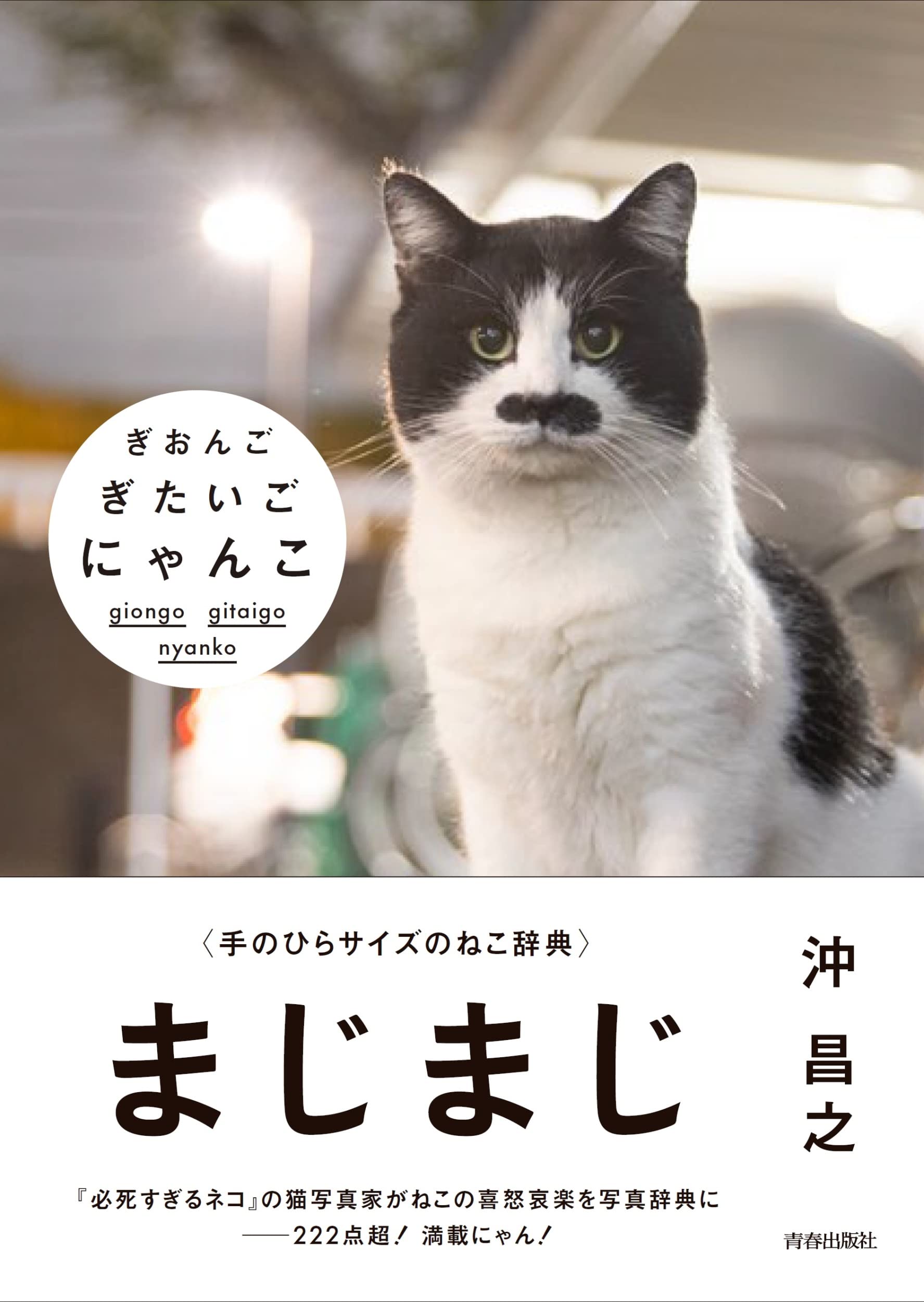 ぎおんご ぎたいご にゃんこ | 沖 昌之 |本 | 通販 | Amazon
