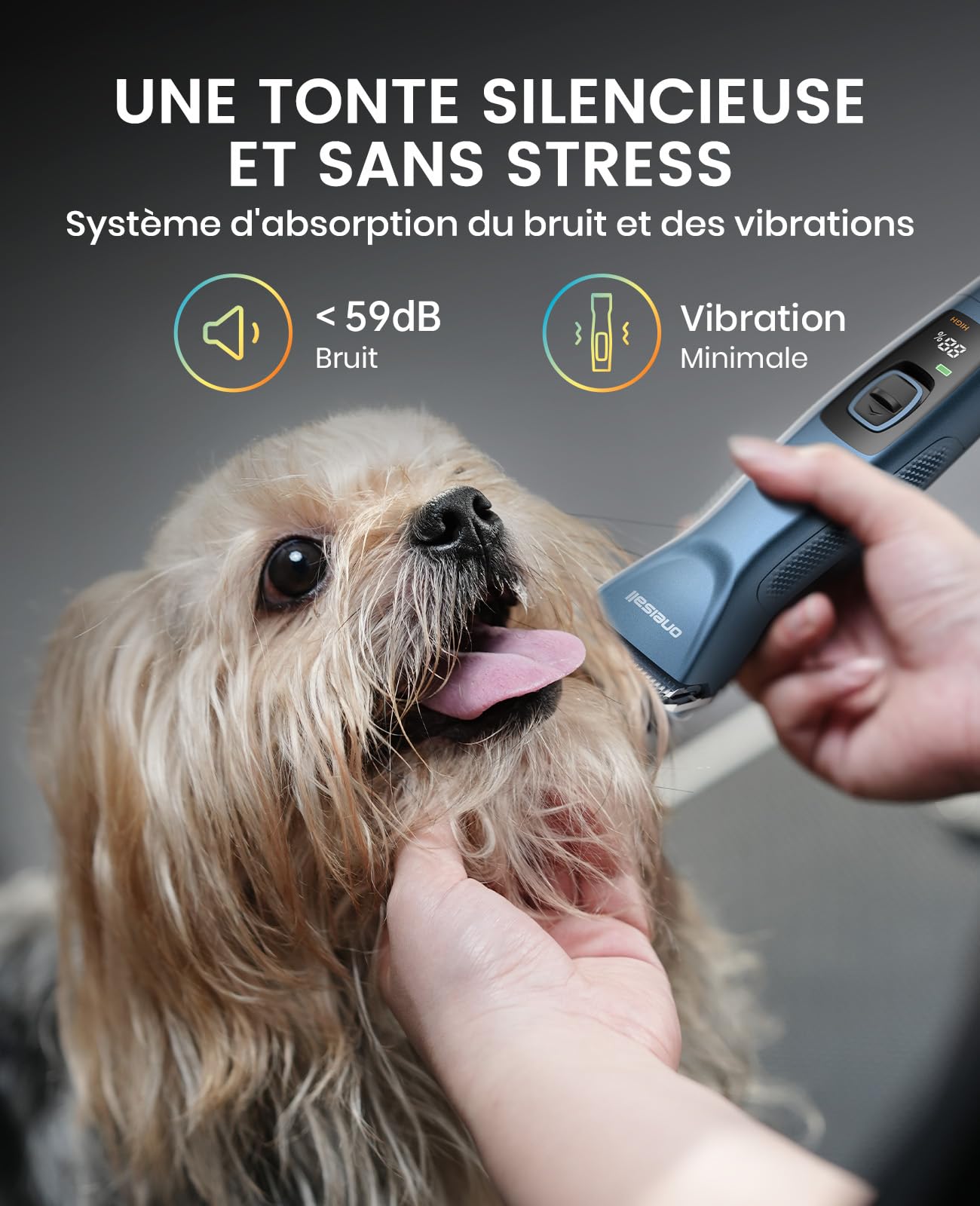 oneisall Tondeuse Professionnelle pour Chiens à Poils long epais, Tondeuse Chiens et Chats puissante, 2 Vitesses Silencieuse pour Animaux à Poils Epais|Longs|Bouclés, Batterie Amovible.