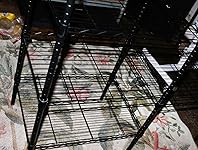 Review Image by Margo Margo