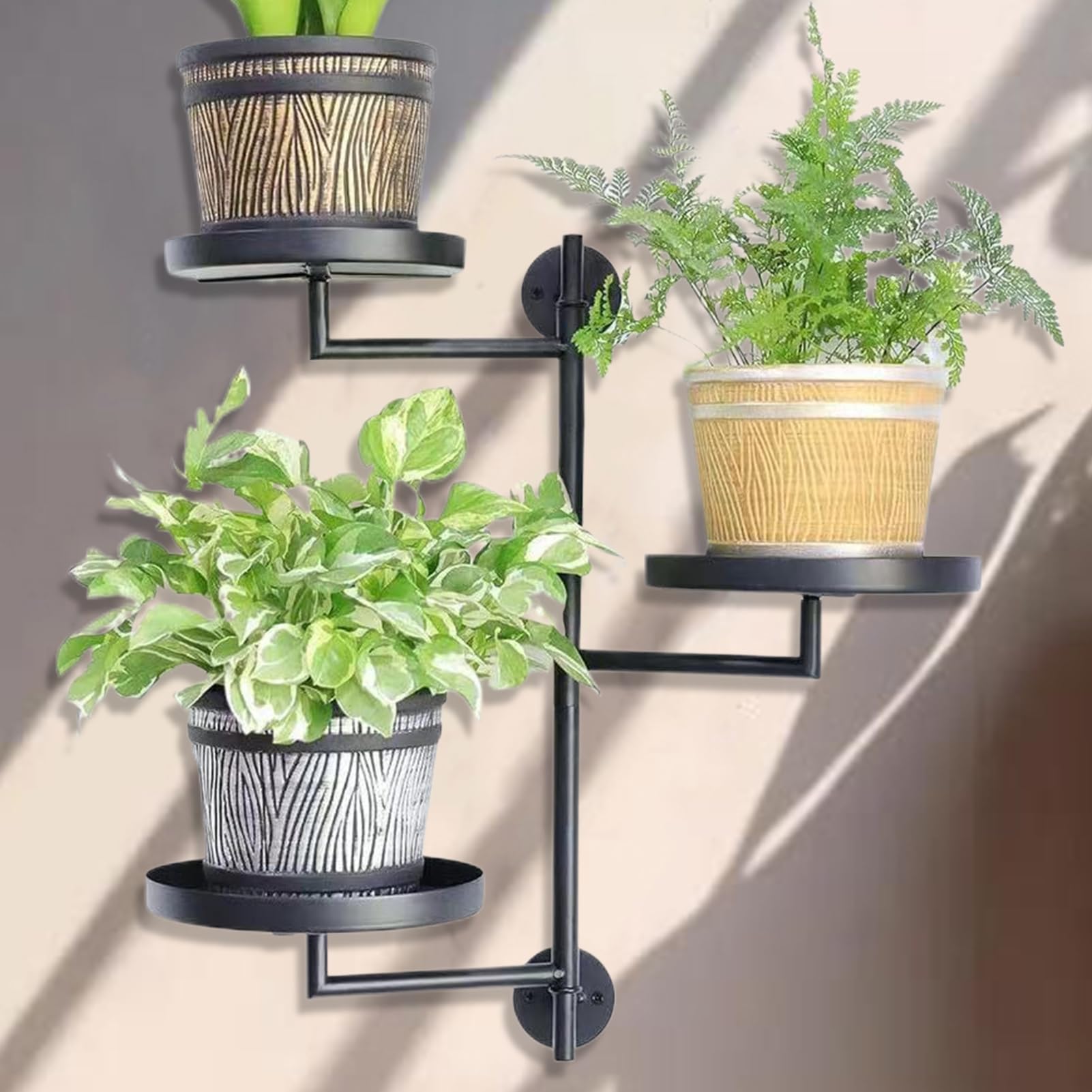 Amazon | 窓植物の棚、壁に取り付けられたプラントホルダー,植物の3層