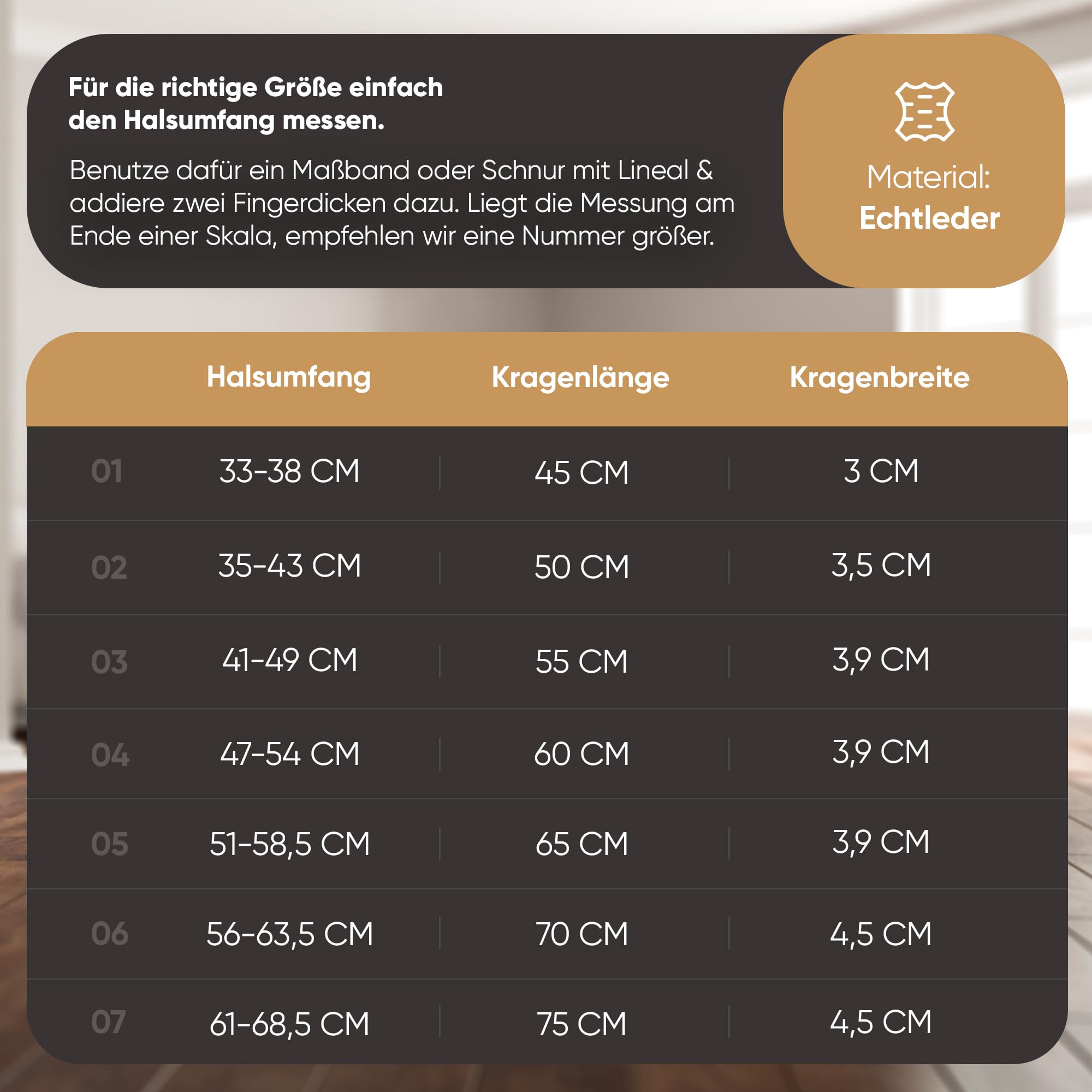 MICHUR Diego Hundehalsband Leder Beige | Lederhalsband, Löwenkopf Applikation, Flachnieten in Alt-Messing Optik, Braun Beige Gold, Verschiedene Größen erhältlich
