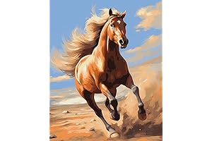 Paint by Numbers for Adults, Beginner Artistic Horse Masterpiece Canvas