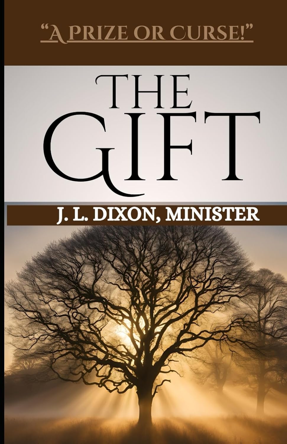 The Gift!: A Prize or Curse      Paperback – February 12, 2025