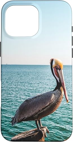 Vista 46 de iPhone 11 Pelican Case