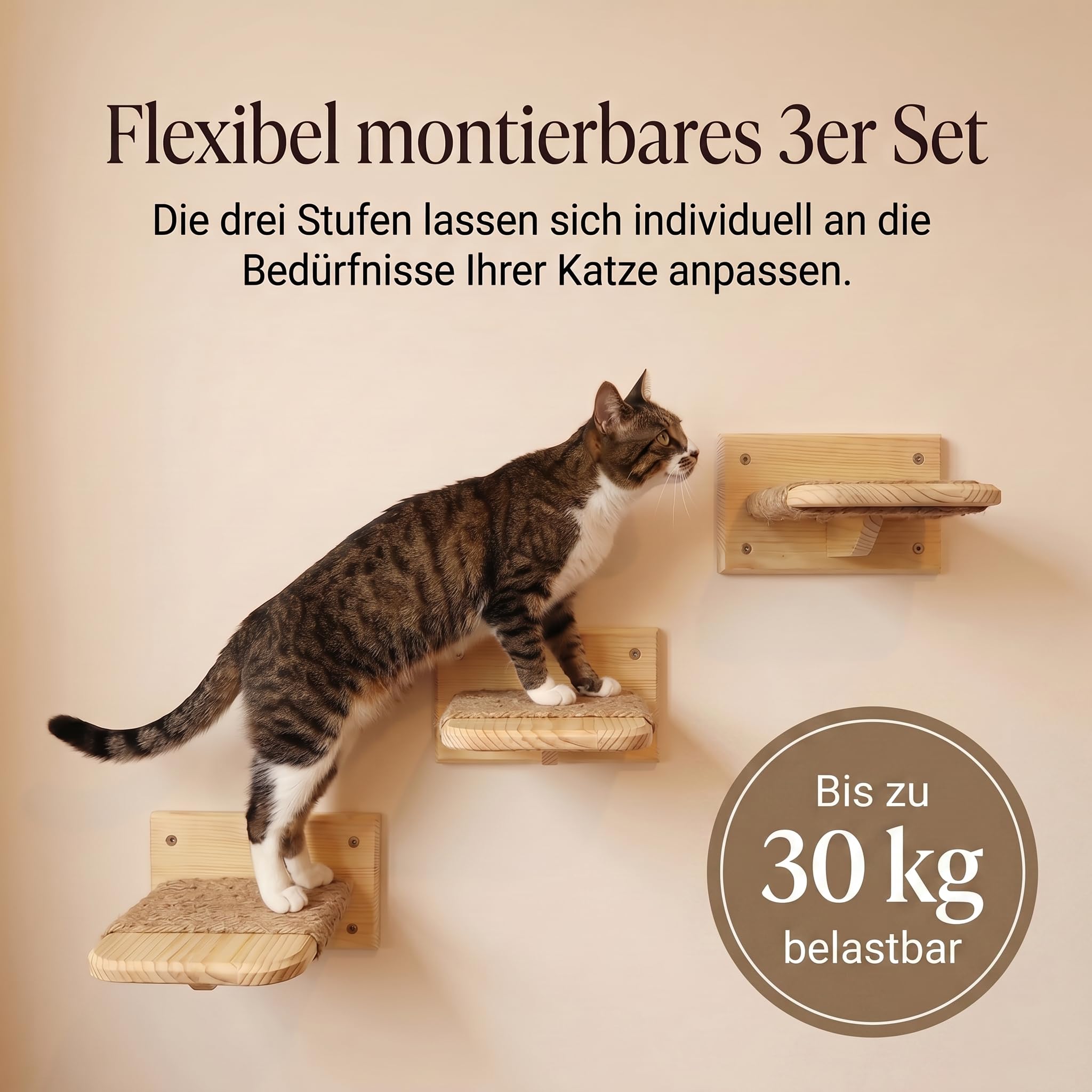 Katzen Wandtreppe aus Massivholz – 3er Set Kletterstufen für Katzen mit Juteseil – Katze Wandmöbel aus Kiefernholz – einfache & schnelle Montage – Kletterhilfe & Katzenwand