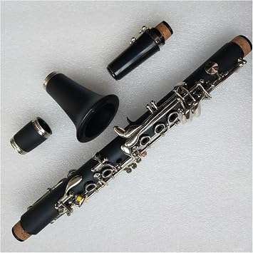 Eb Tone Bakelite Body Nickel Plating Keys Clarinet Instruments With Case And Accessories Clarinet Kit