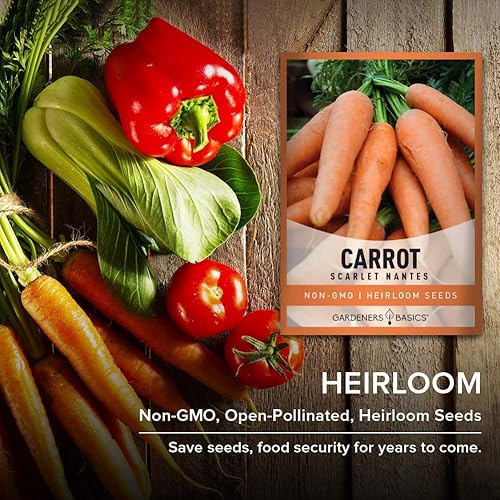 Miniatura 5 de Semillas de zanahoria para plantar - Scarlet Nantes - es una gran variedad de verduras no transgénicas, 0.07 onzas de semillas ideales para