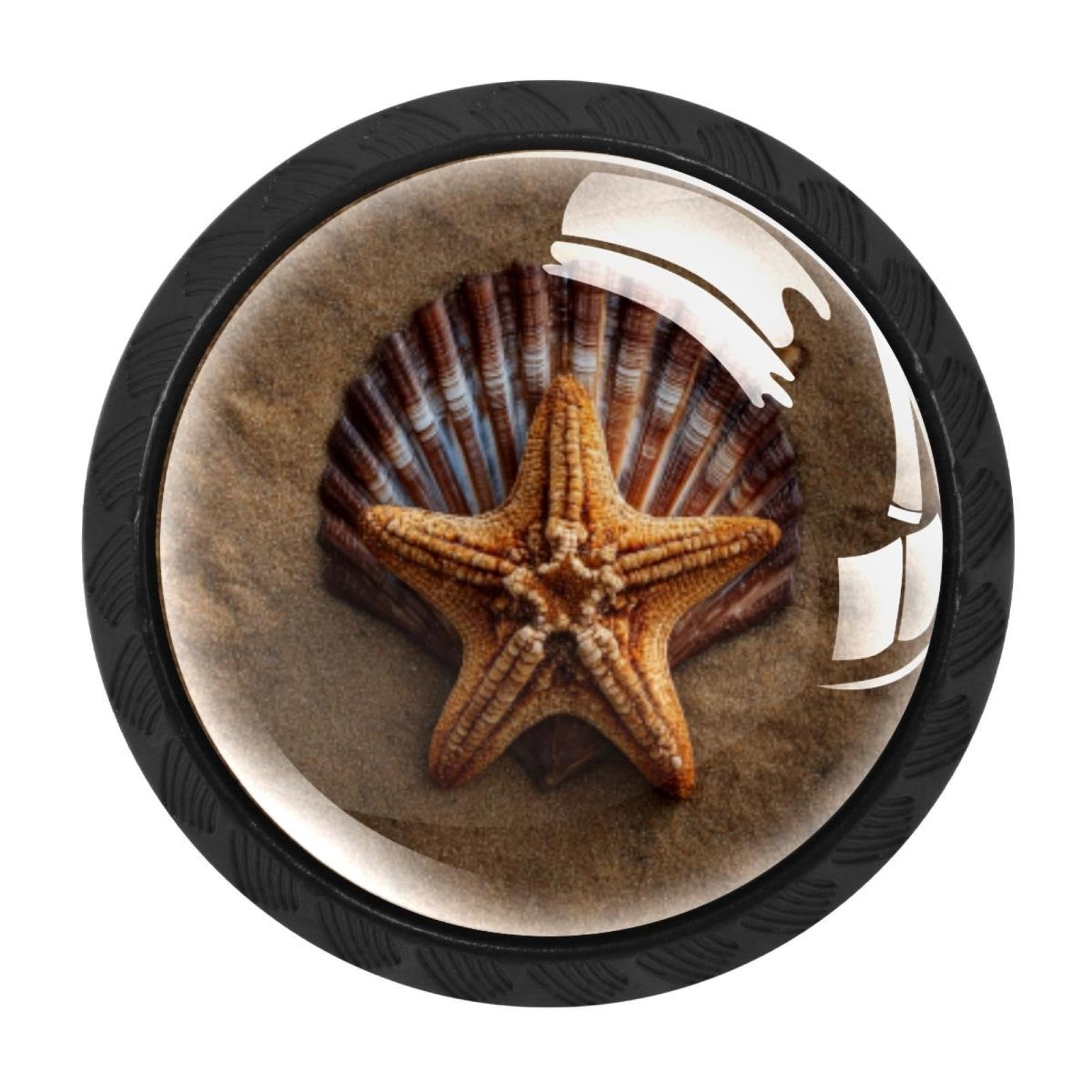 CHENZZZZ 4 Pack Sand Beach Starfish Shell (6) Drawer Knob Cabinet Hardware