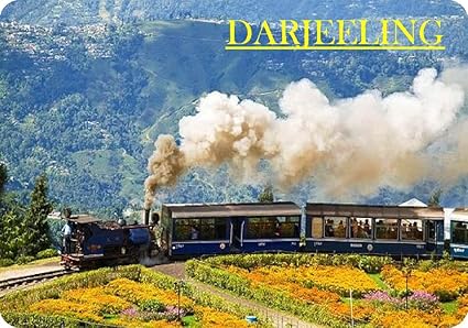 Darjeeling Fridge Magnet