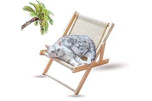 Comfortable Cat Hammock with Sisal Scratching Area