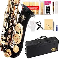 Saxofone preto laqueado Glory E Flat Alto com 11 palhetas, 8 almofadas, estojo, kit de cuidados