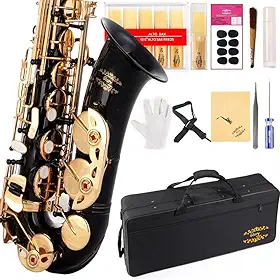Saxofone preto laqueado Glory E Flat Alto com 11 palhetas, 8 almofadas, estojo, kit de cuidados