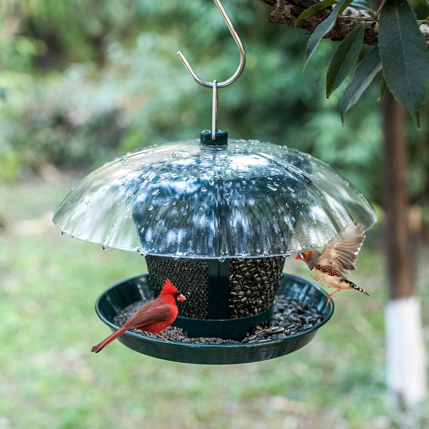 Kingsyard Heavy Duty Deck Hook for Outdoor Hanging + Metal Mesh Wild Bird Feeder with Weatherproof