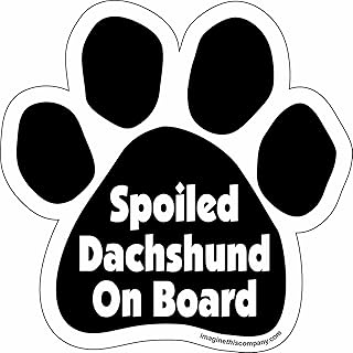 Imagine This Paw Car Magnet, Spoiled Dachshund on Board, 5-1/2-Inch by 5-1/2-Inch