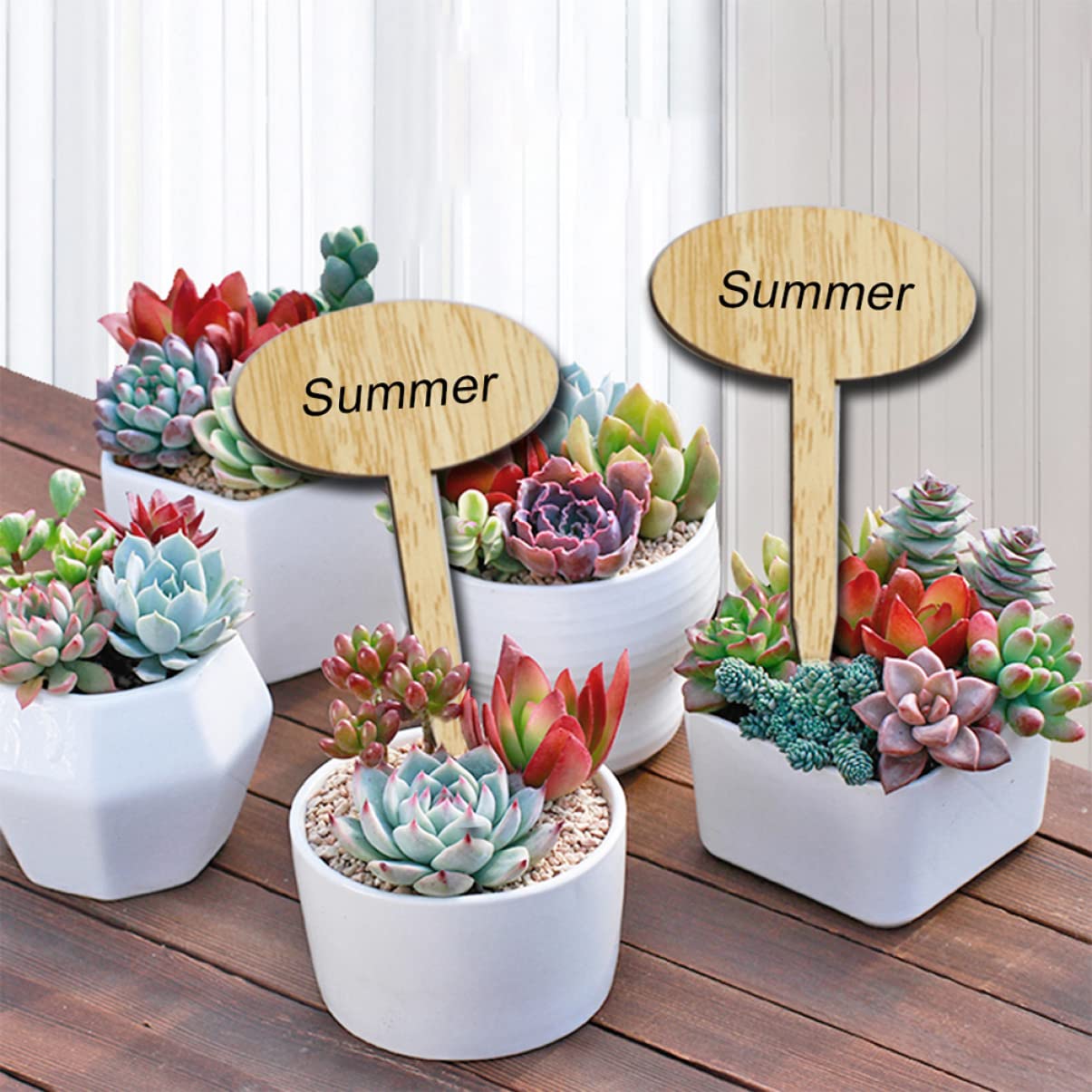 BESPORTBLE Lot De 3 Marqueurs Détiquettes De Jardin En Bois Faciles À Lisser Réutilisables Pour Lartisanat En Classe Décoration Dintérieur 50 Pièces X 3