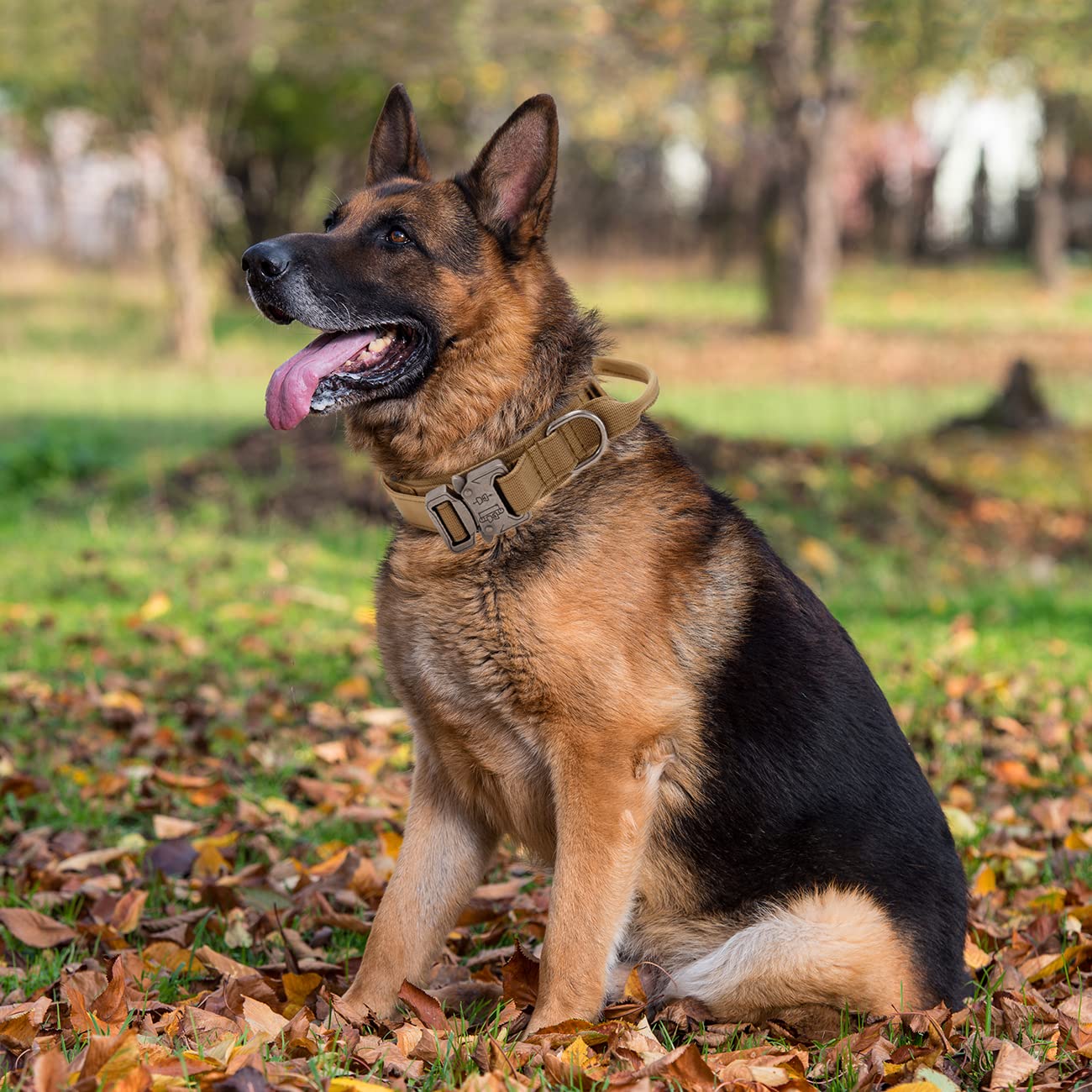 Tactical Dog Collar with Handle - Image 4