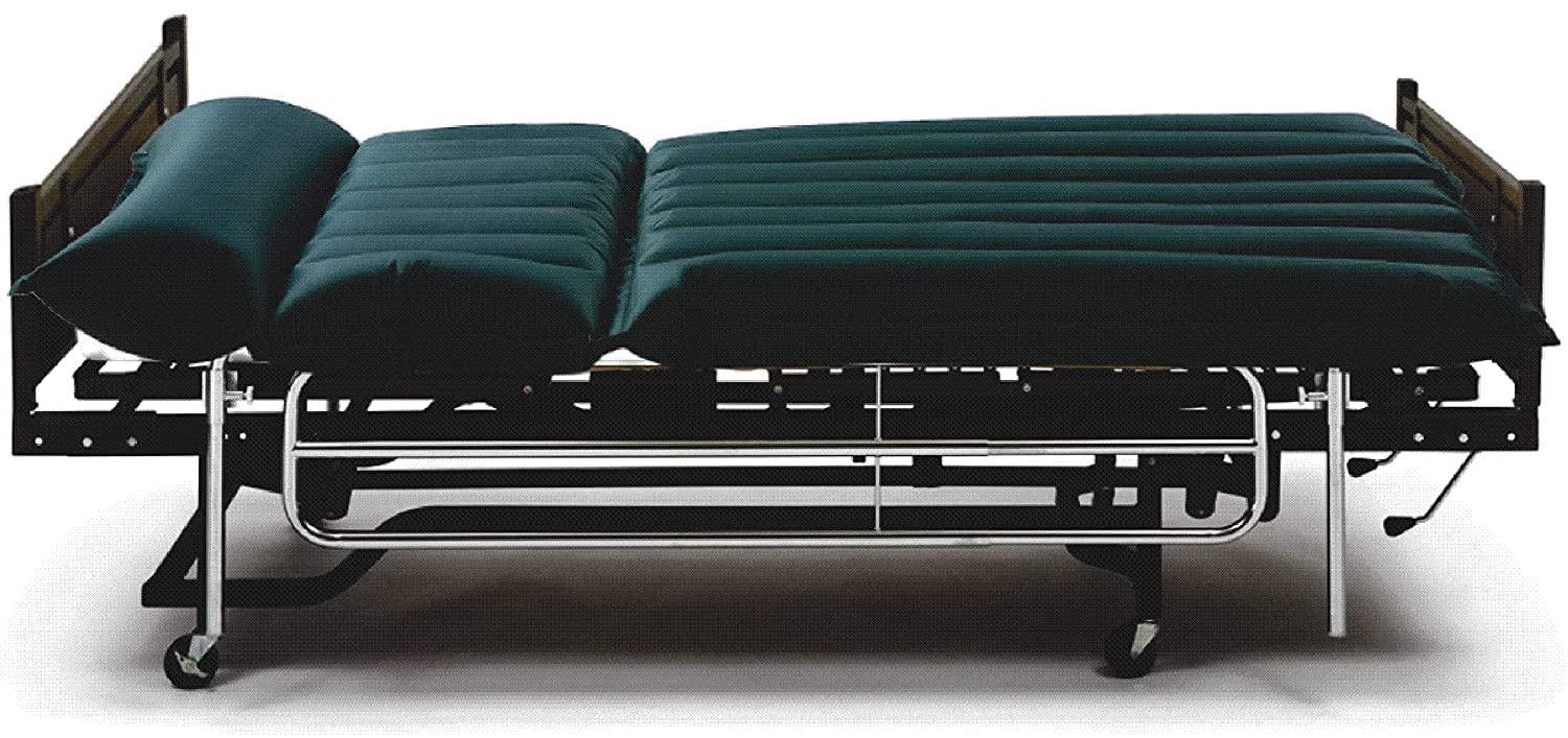 Buy INFI Vinyl Water Bed, Includes Mattress Pad & Pump, Quiet