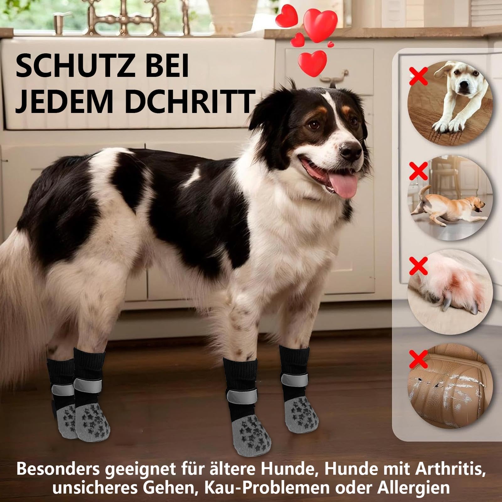 Lot de 2 paires de chaussettes antidérapantes pour chien - Protection des pattes de chien - Protection contre la chaleur - Avec fermeture réglable et bande réfléchissante - Contrôle complet de