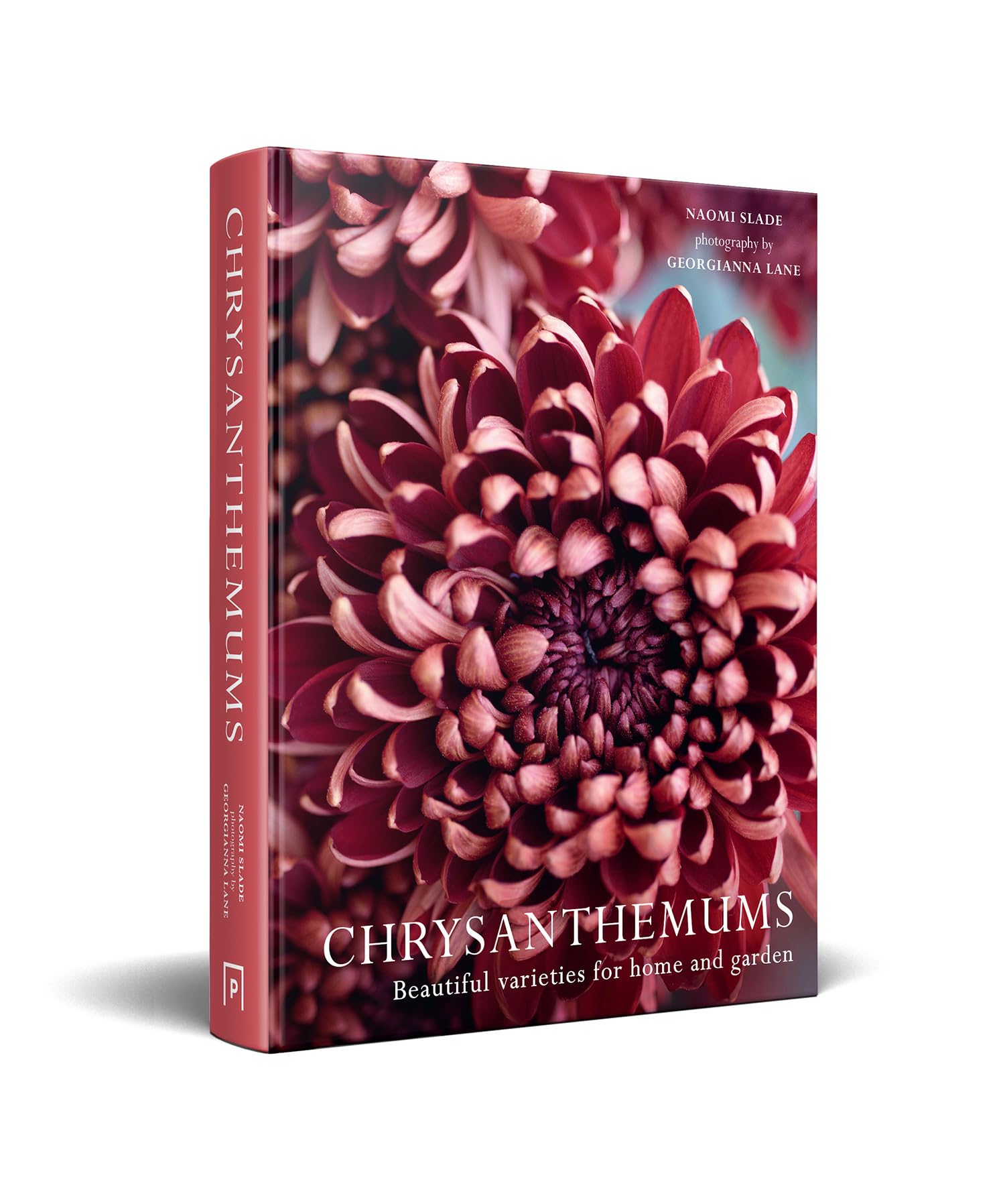 Chrysanthemums: Beautiful Varieties for Home and Garden