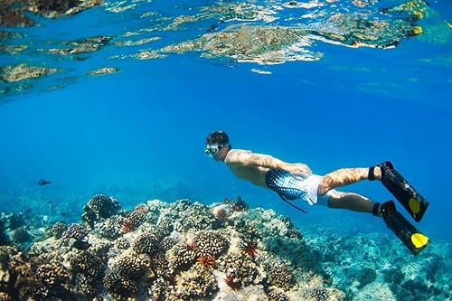 Miniatura 3 de FitsT4 Sports Calcetines de agua de neopreno de 0.118 in con aleta de esnórquel antideslizante para hombres y mujeres Negro -,Azul,Rosa