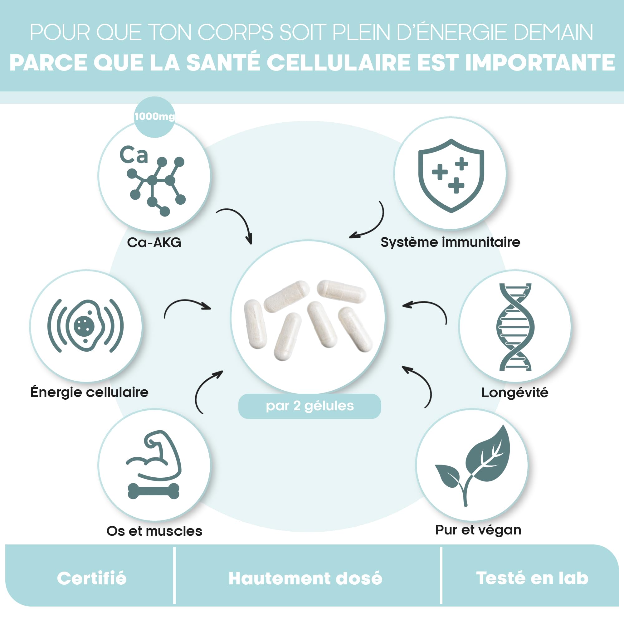 CaAKG | Calcium-Alphakétoglutarate | 60 gélules | Dosage élevé | 1000 mg | CaAKG de haute qualité sans additifs