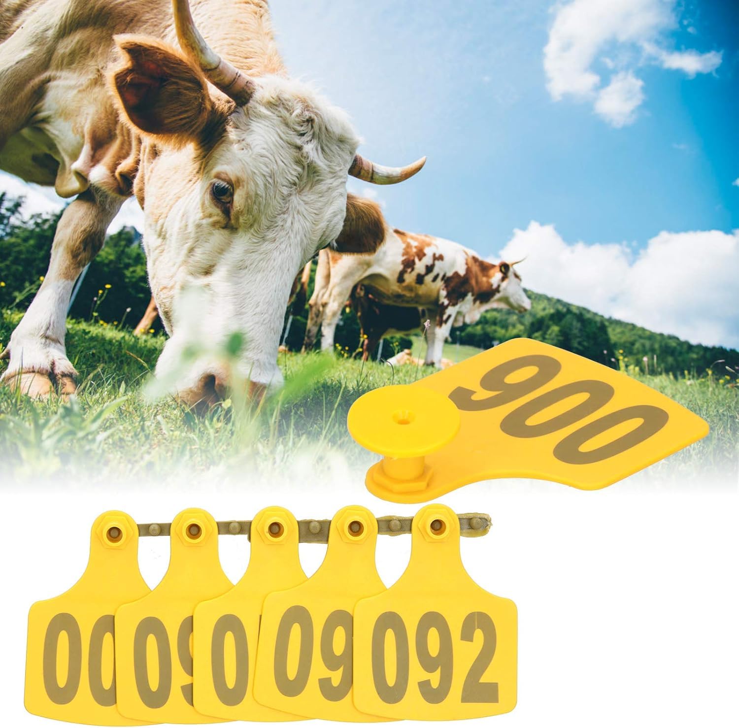 Numer Plastikowa kolczyk dla zwierząt gospodarskic numery na uszy świni, owcy i kozy duże koło 3cm*3cmniebieski 101-200(10cm*7.5cm(3.93in*2.95in),Yellow 401-500)