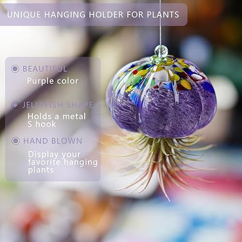 Miniatura 5 de H&D HYALINE & DORA Macetero de cristal soplado a mano colgante, medusas, decoración de terrario para jardín, porche, ventana, alféizar (sin plantas)