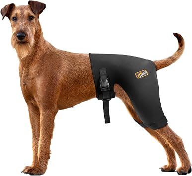 Dog Hip Brace with Hot/Cold Compress, Support for Hip Dysplasia, Arthritis, Back Leg limping, Prevents Hip Joint Issues, Reduce Hip Pain etcFemale Dog, L