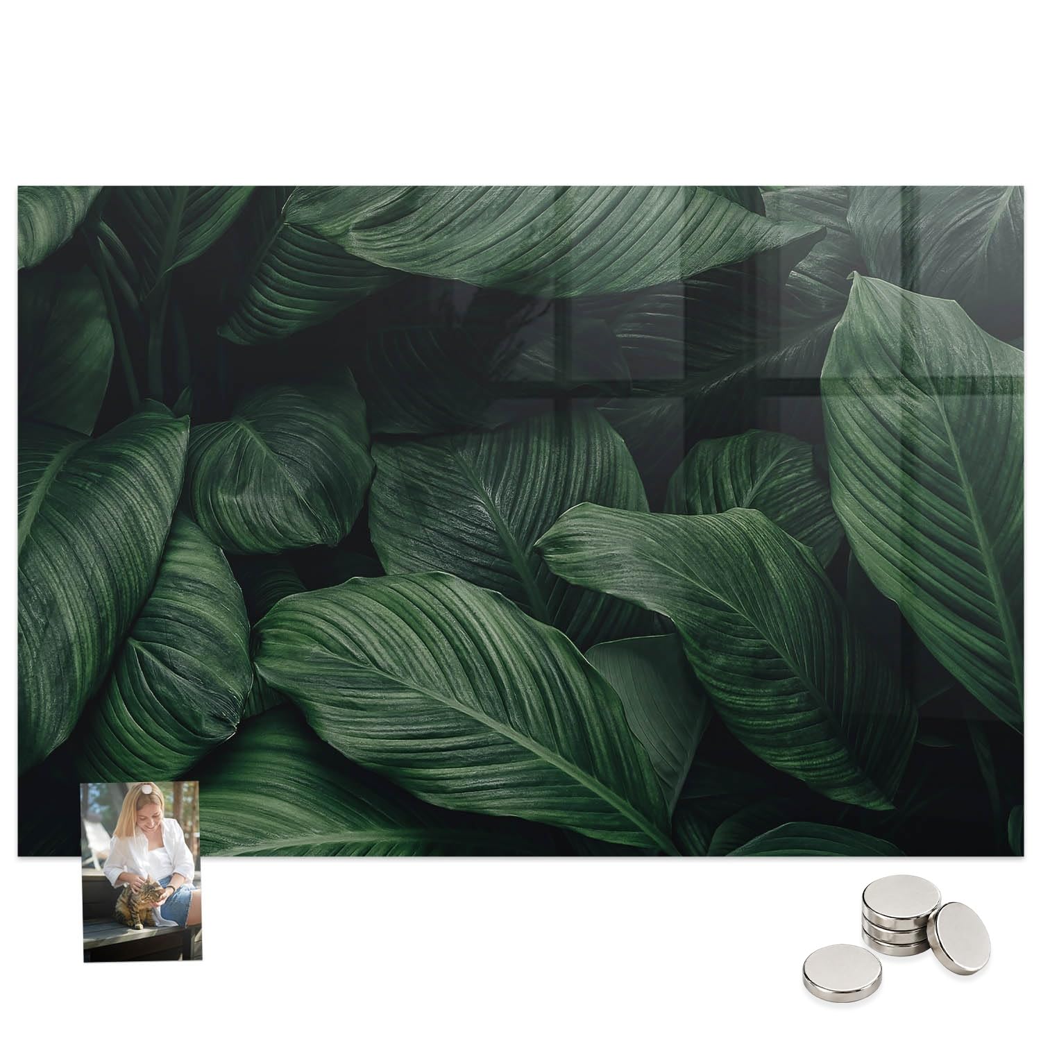 Magnettafel für Schule Gastronomie und Büro 120x60 Tropisches Monster | Pinnwand | Glas | Memo | Organizer | Planer | Sicherheitsglas | Paneel | Infoboard | Wochenplaner | Terminkalender