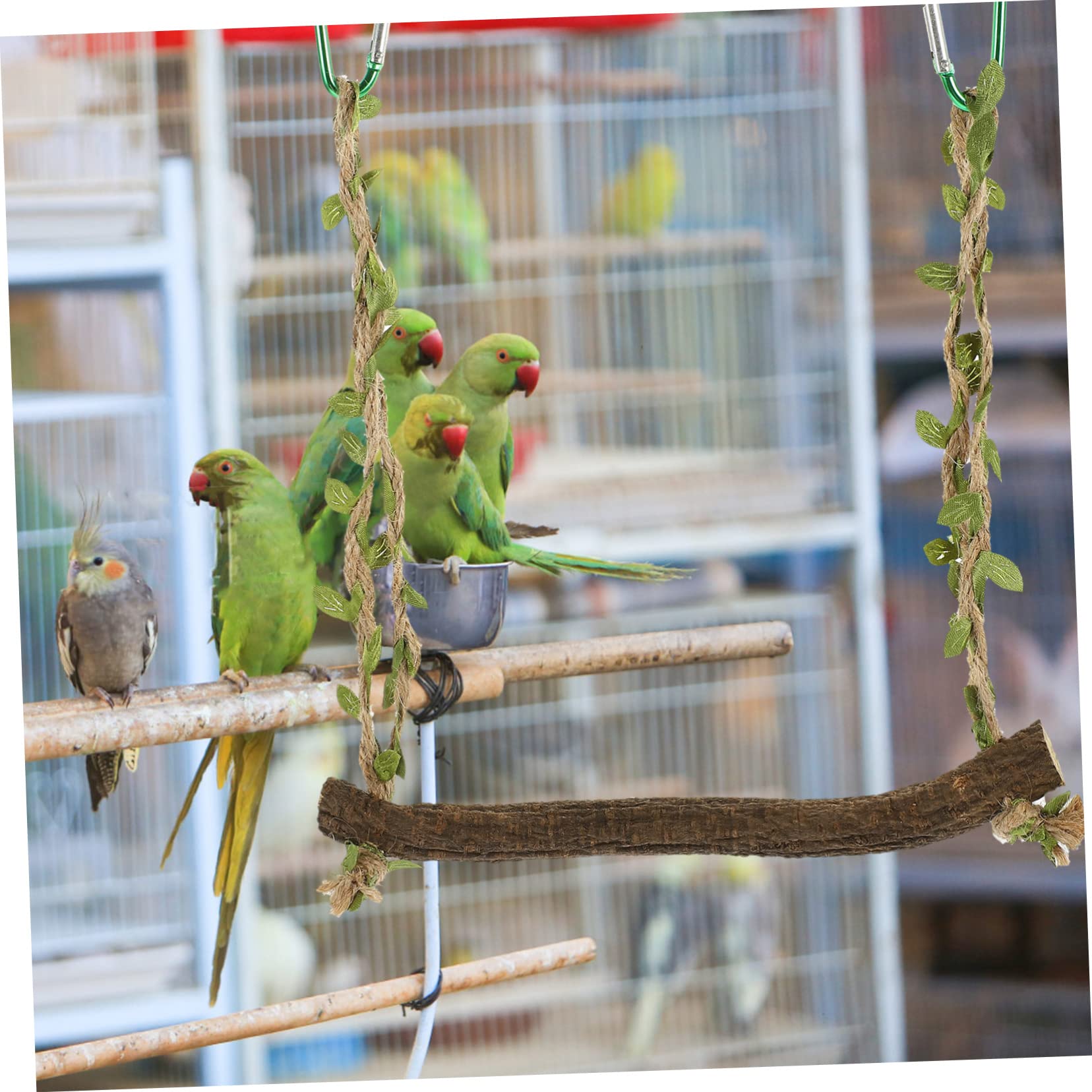 Angoily 5stücke Parakeet Schaukel Aus Holz Natürlicher Vogelspielzeug Für Wellensittiche Papageien Und Andere Vögel Robuste Und Sichere Hängeschaukel Für Käfige Fördert Bewegung
