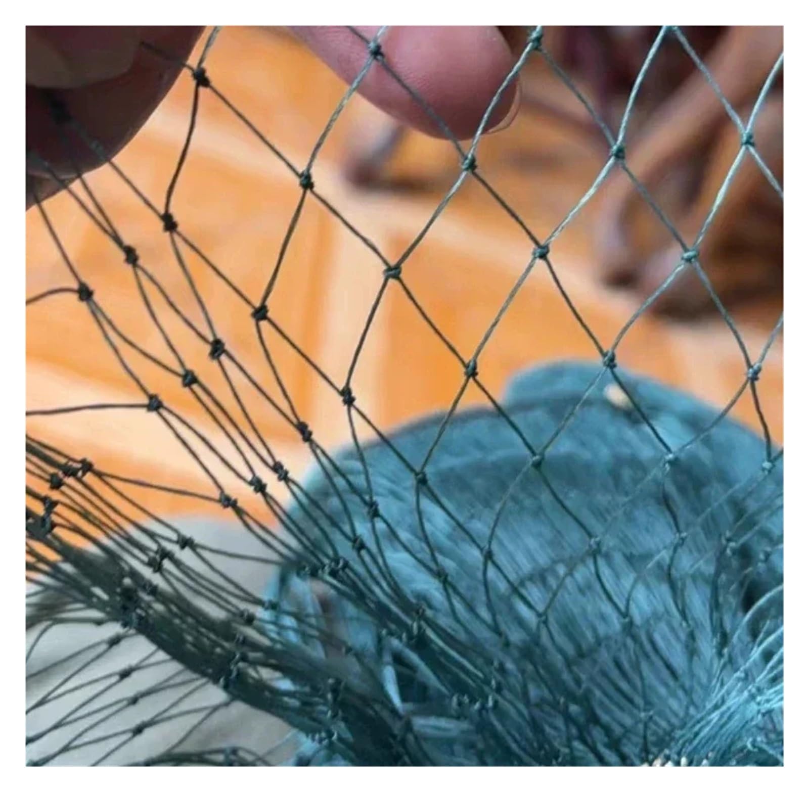 Nylonowa siatka przeciw ptakom Ogród odporny na ptaki netto Uprawy staw rybny Drzewo wiśniowe Ogrodzenie ochronne z owocami | Green 9shares 3cm Hole,Wide 3x5m