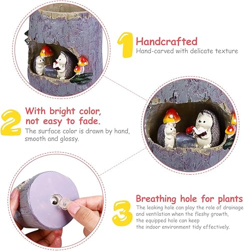 Miniatura 2 de TINKSKY Linda maceta de sedum de erizo para suculentas, maceta para bonsái, caja para plantas, cama, oficina, hogar, jardín, decoración