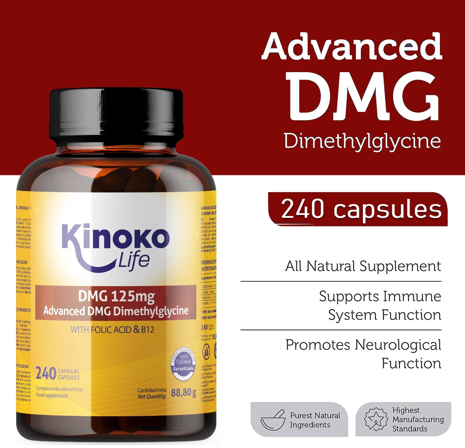 DMG Advanced 125 mg, 240 capsule Dimetilglicina pura. Con Acido Folico e B12 per un migliore assorbimento del DMG. Senza Glutine, Non OGM, Vegan Friendly. Memoria, Stress, Concentrazione
