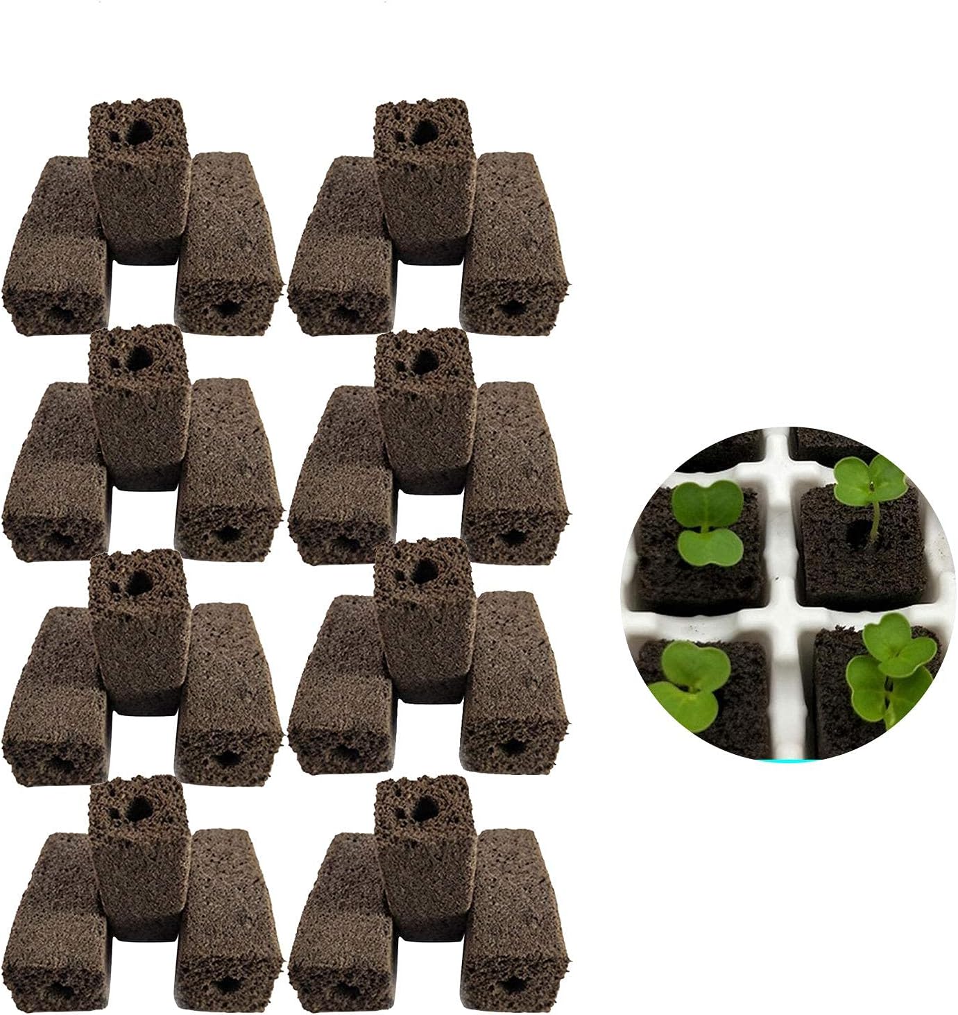 Ezha 無土壌栽培スポンジ 10個セット 植物土壌ブロック養液栽培 軽量 バイ炭栄養ブロック 挿し 穴があり 苗箱 工場保育園 固定しやすい 通気性 多機能 園芸用品 水耕アプリケーション ガーデニング 定植 ホーム 農業用 交換水耕栽培システム 温室栽培用 40xxcm Ezha 無土壌栽培スポンジ 10個セット 植物土壌ブロック養液栽培 軽量 バイ炭栄養ブロック 挿し 穴があり 苗箱 工場保育園 固定しやすい 通気性 多機能 園芸用品 水耕アプリケーション ガーデニング 定植 ホーム 農業用 交換水耕栽培システム 温室栽培用 40xxcm