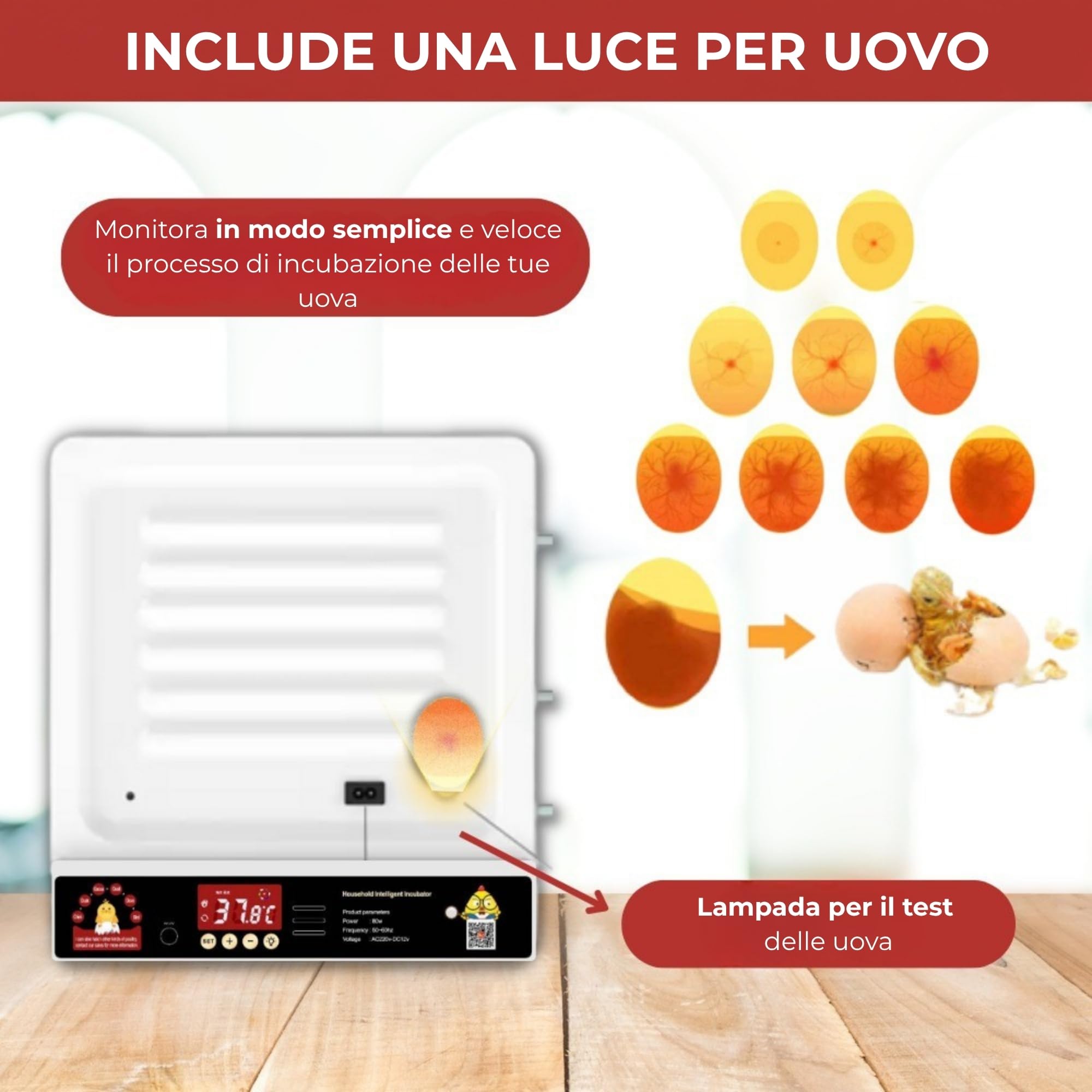 Arcanix Incubatrice Automatica per 30 Uova di Gallina, con Volteo Automatico, Controllo di Temperatura e Umidità, Termometro, Chocadeira Automatica per Uccelli