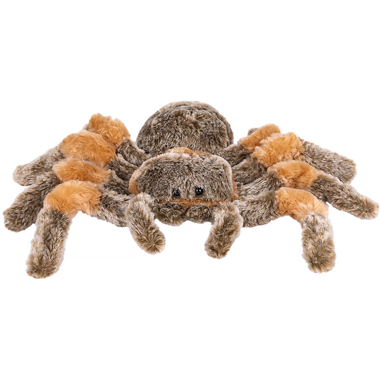 Rhode Island Novelty 8