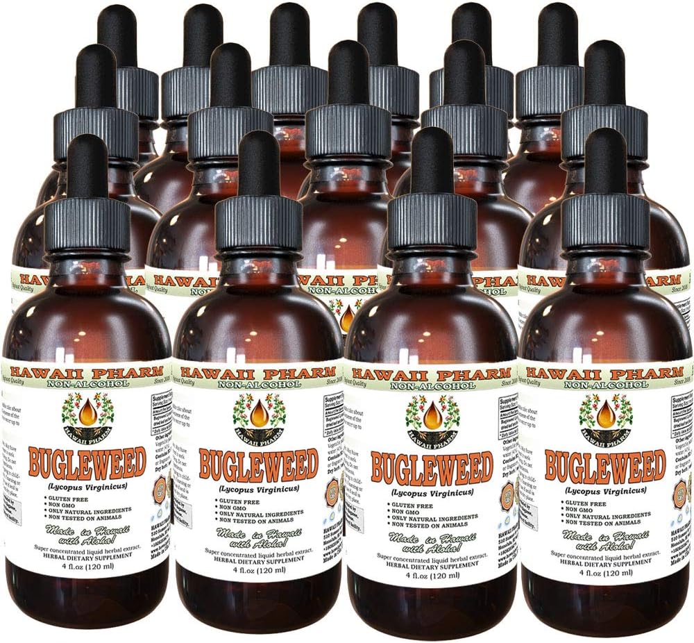 Hawaii Pharm Bugleweed Alcohol-Free Liquid Extract, Bugleweed (Lycopus Virginicus) Dried Leaf and Flower Glycerite Natural Herbal Supplement 4 oz